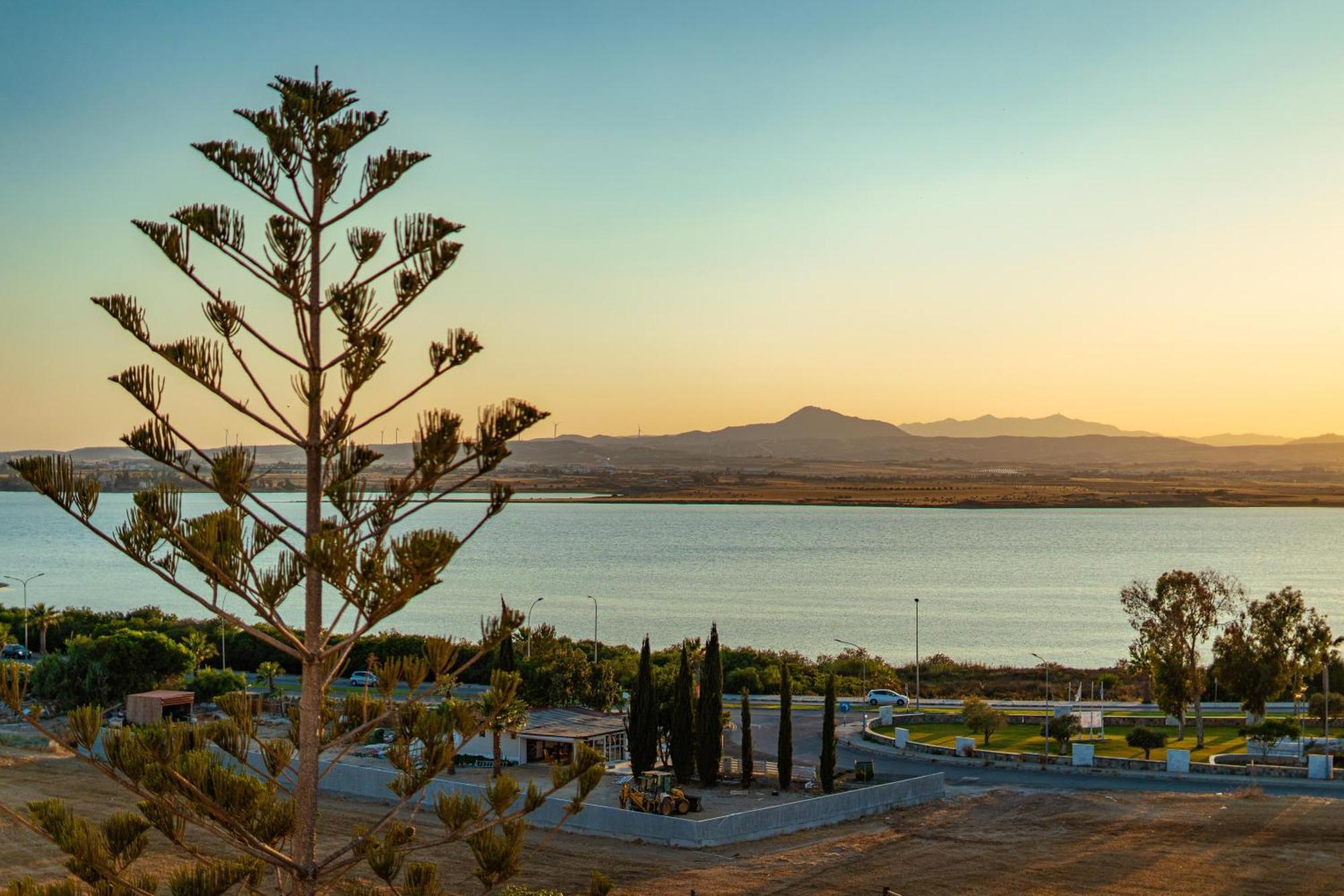 Majestic Sunset Salt Lake Views 300M From Beach ลาร์นาคา ภายนอก รูปภาพ